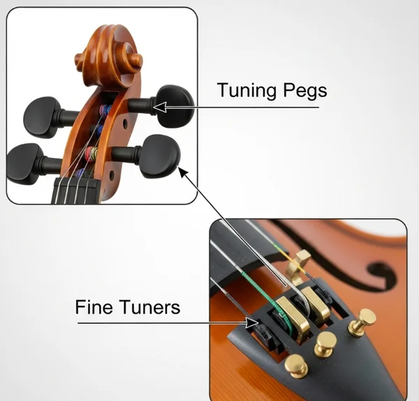 Diagram of violin tuning pegs and fine tuners explained.