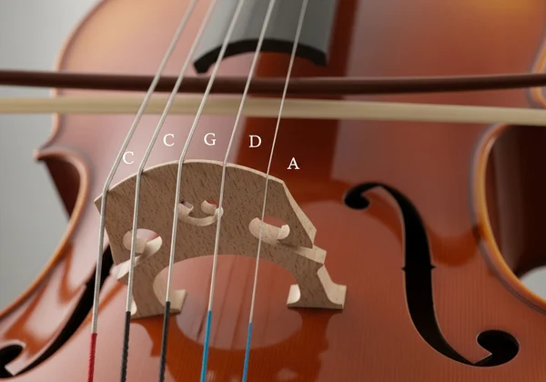Cello strings labeled C, G, D, A for standard tuning.